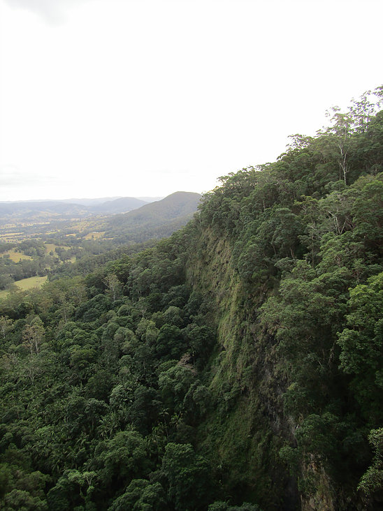 Mapleton hinterland scenery